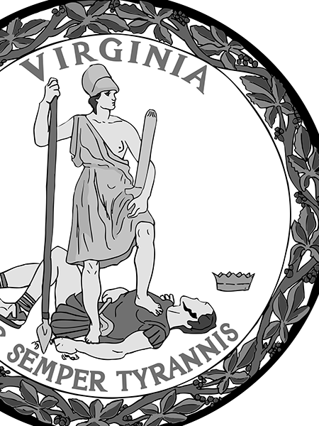 Introduction to Laws in Virginia Image