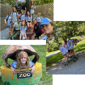 Zoo and Dinosaur trip